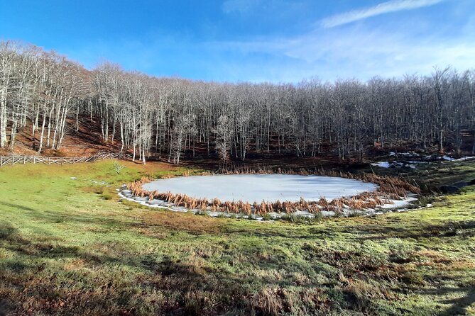 Full-Day Private Hike in Foreste Casentinesi National Park - Directions for Booking