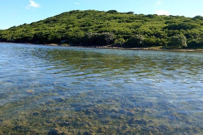 Full-Day Private Hiking Le Morne Mountain & Seafood Lunch at Islet Fourneau - Experience Details