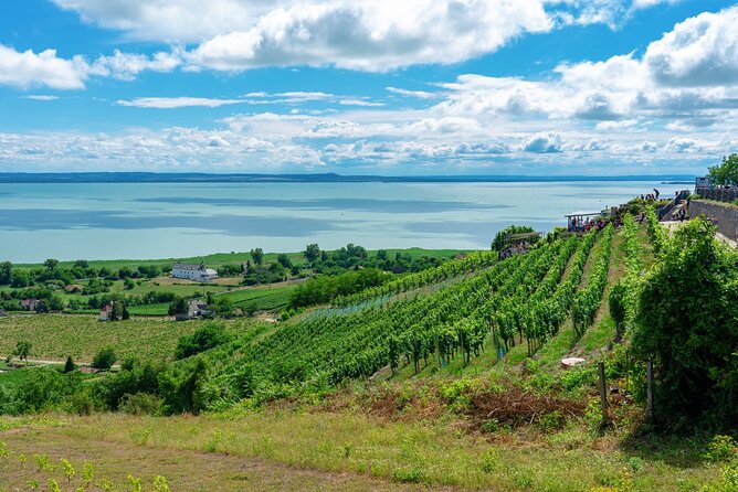 Full-Day Private Lake Balaton Wine Tour Experience From Budapest - Pickup Information