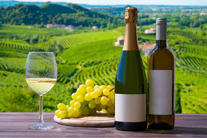 Full Day Private Prosecco Wine Tour Experience From Venice - Additional Information