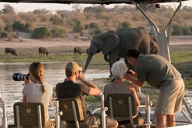 Full Day Private Tour in Chobe