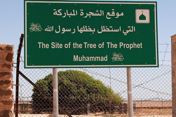 Full Day Private Tour Prophet Mohammad Tree & Seven Sleepers Cave From Amman