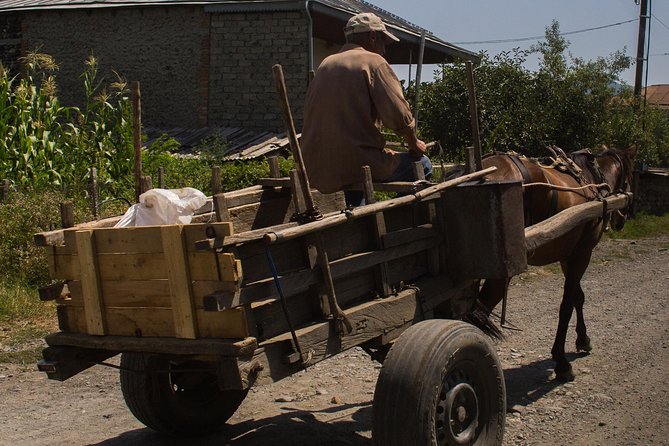 Full-Day Private Tour to Kakheti Historic Sights From Tbilisi - Inclusions