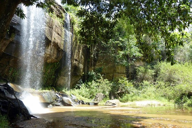 Full Day Private Tour to Shimba Hills From Diani Beach - Highlights and Inclusions