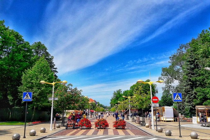 Full-Day Private Walking Tour of Klaipeda Old Town and Visit to Palanga - Pickup Information