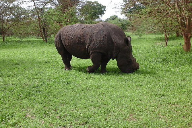 FULL-DAY SAFARI and PINK LAKE TOUR (Minimum 2 Pax) - Inclusions