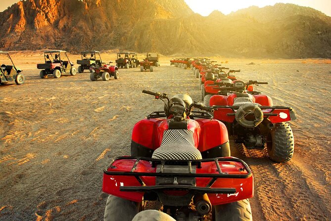 Full-Day Safari With Camel, Atv, Quad and Buggy Tour in Hurghada - Booking Information