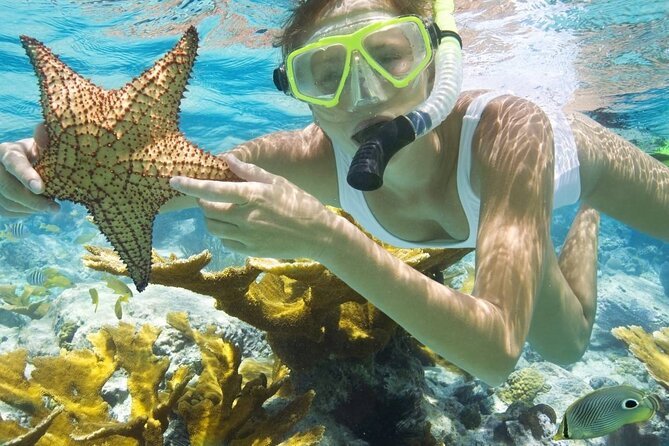 Full Day Sataya Reef Adventure in Marsa Alam