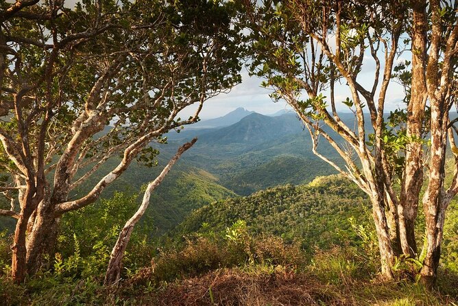 Full Day Scenic South West Mauritius With Chamarel Safari & Lunch - Tour Overview