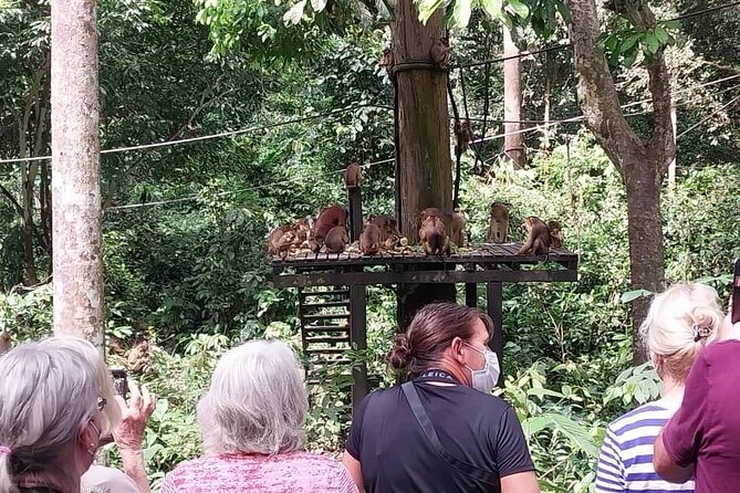 Full-Day Sepilok Orangutan and Sandakan City Trail From Kota Kinabalu - Additional Information