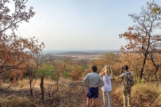 Full-Day Serengeti Tour From Mwanza