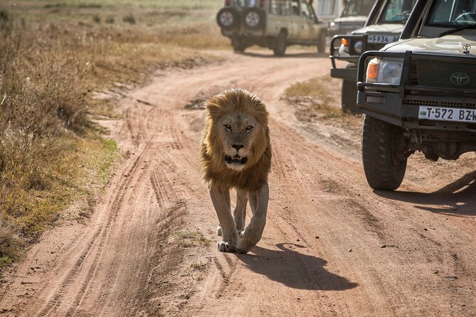 Full Day Serenity Adventure in Tarangire National Park