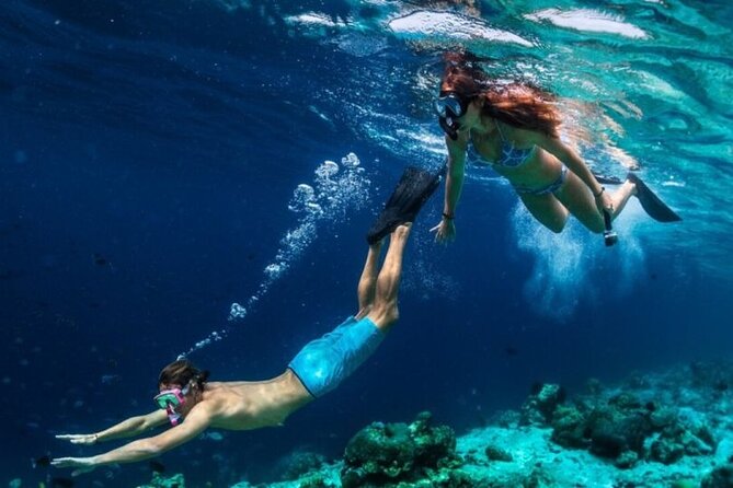 Full Day Shared Snorkeling to Hamata Islands From Marsa Alam - What To Expect