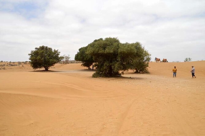 Full-Day Small-Group Jeep Tour in Souss Massa With Lunch