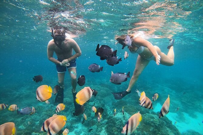 Full Day Snorkeling Activity at Bali Blue Lagoon - Activity Overview