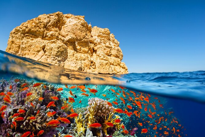 Full-Day Snorkeling Adventure in Ras Mohammed National Park