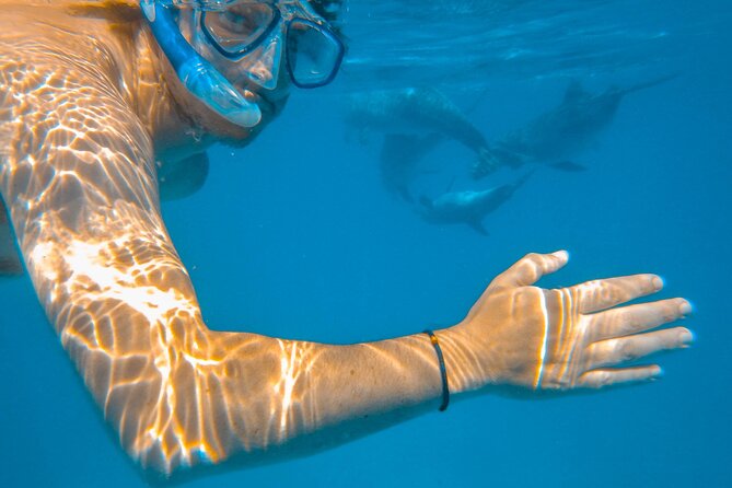 Full-Day Special Wasini Island Tour With Snorkeling and Lunch - Meeting and Pickup Details