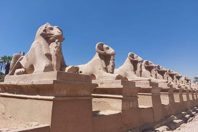 Full Day Tour From Luxor East and West Banks Expedition - Tour Overview