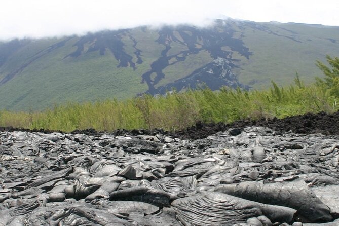 Full Day Tour of Reunion Island With Breakfast - Tour Inclusions and Details