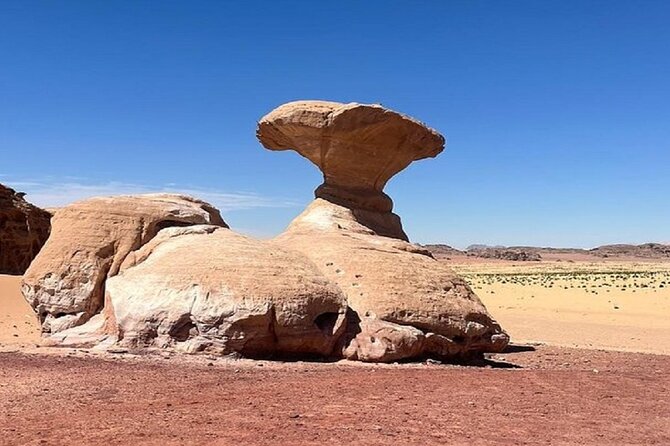 Full Day Tour Petra and Wadi Rum From Amman - Tour Overview