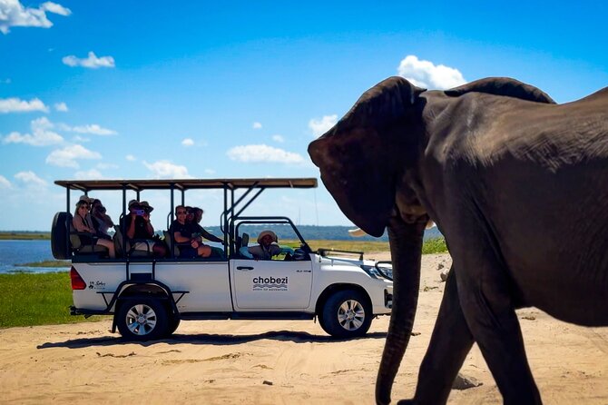 Full Day Tour to Chobe and Botswana From Victoria Falls - Meeting/Pickup Details