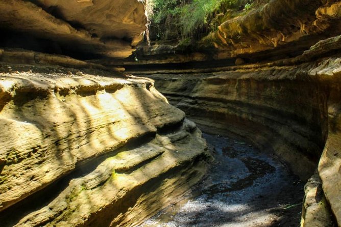 Full-Day Tour to Hells Gate & Geo Spa - Price Information