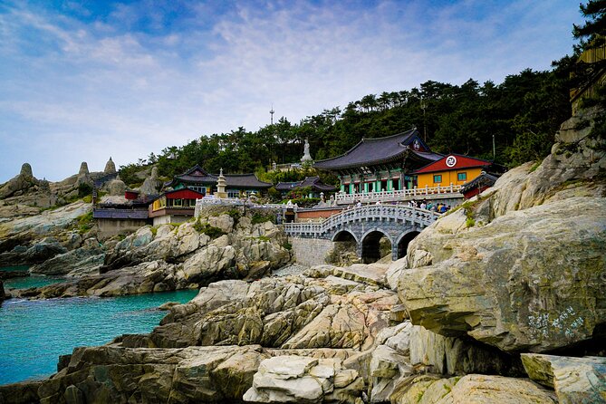 Full-Day Tour Unmissable Things to Do in Busan