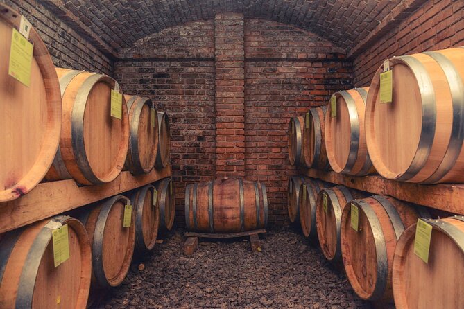 Full Day Trip From Belgrade: Novi Sad City Tour (Winery, Castle, Church) - Tour Overview