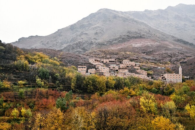 Full Day Trip To Ourika Valley and Atlas Mountains - Tour Overview