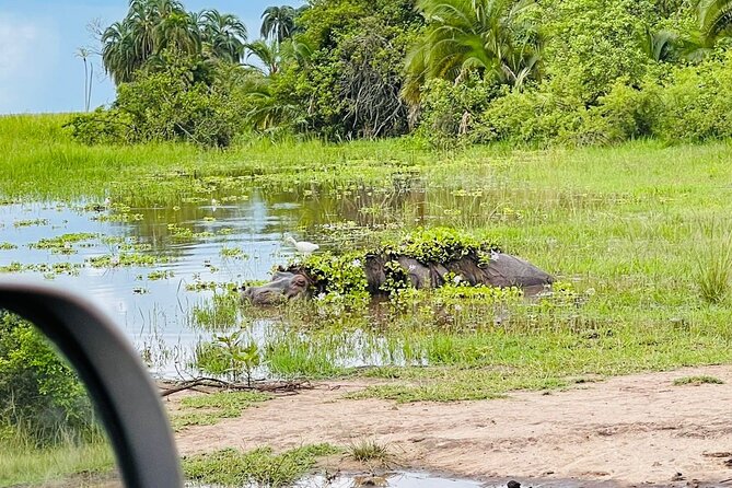 Full-Private Akagera Boat Cruise and Game Drive