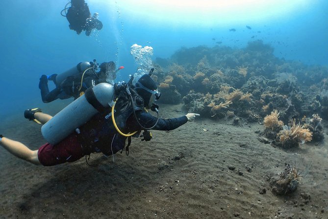 Fun Diving Tulamben Bali - For Certified Divers - Dive Sites in Tulamben