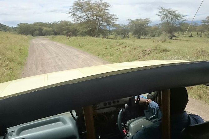 Game Drive Amboseli National Park Day Tour - Inclusions and Meeting Details