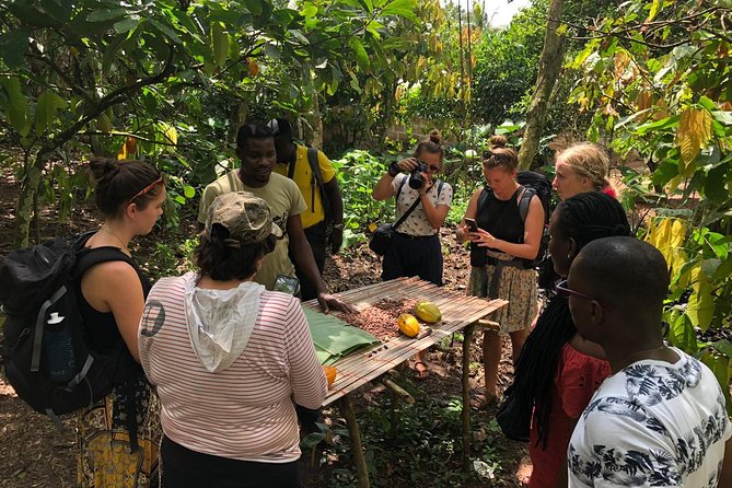 Ghana Eastern Explorer - Boti Falls, Aburi Gardens & Tetther Quarshie Cocoa Farm