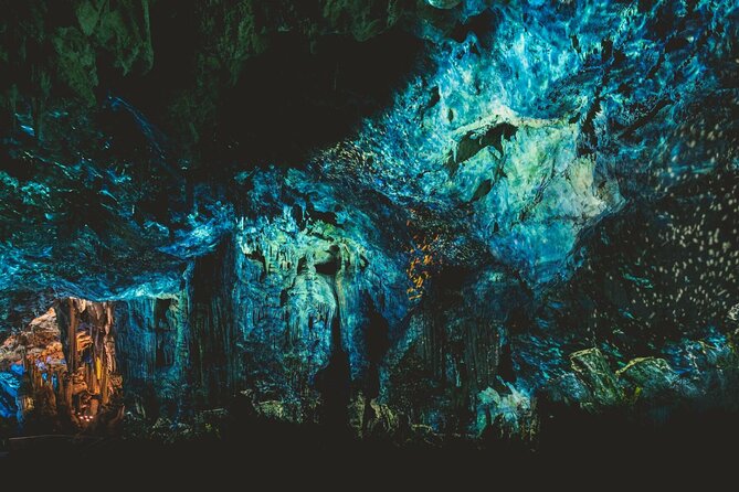 Gibraltar Nature Reserve Admission Pass to All Attractions - Inclusions With the Admission Pass