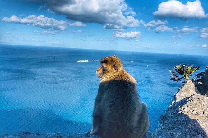 Gibraltar Sightseeing Private Full Day Shore Excursion - Cancellation Policy