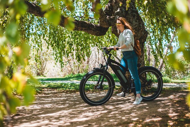 Gourmet Ride With E-Bike Tour to the Trout Farm - Health and Fitness Considerations