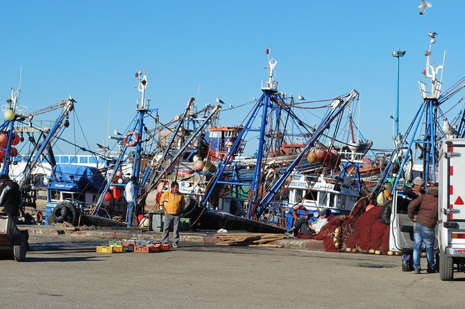 Group Day Trip Essaouira From Marrakech - Tour Highlights