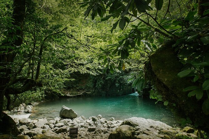 Group Hiking Tour in Mtirala National Park - Tour Details