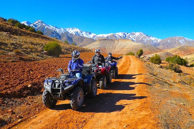 Group Quad Biking Tour in Marrakech - Tour Overview