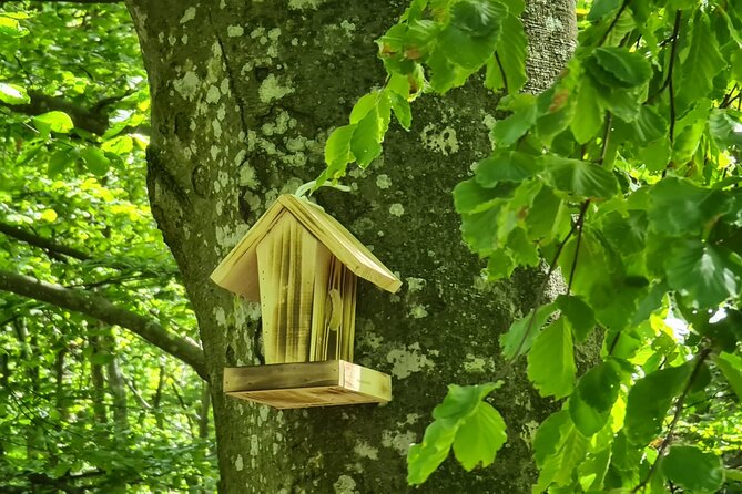 Guided Balkan Deep Forest Tour