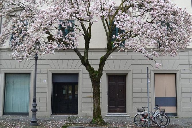Guided Bike Tour of Lucca - Half Day Small Group - What To Expect