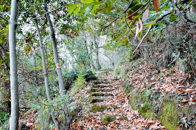 Guided Eco Hiking and Sea View Wine Tasting in Portofino Park - Discovering Portofino Parks Beauty