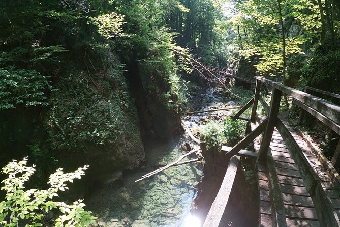 Guided Hiking Adventure Klek and Kamačnik - Pickup Options