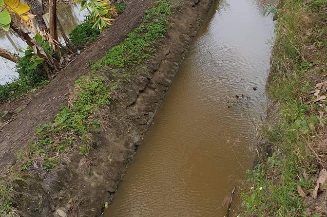Guided My Lai Massacre Day & Heroic Mother Statue - Tour Details