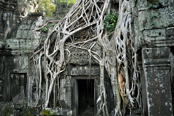 Guided Private A/C Vehicle Tour to Angkor Wat and Small Circle With Two Extras - Inclusions