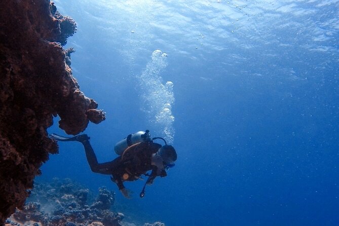 Guided Scuba Diving Adventure in Aqaba - Meeting and End Point