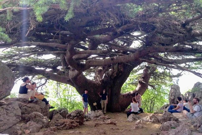 Guided Small-Group Tour to Qadisha, Bcharee & Cedars With Lunch - Itinerary Highlights