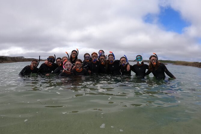 Guided Snorkel Activity at Coral Beach Carraroe, Galway - Inclusions and Optional Add-Ons