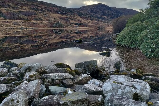 Guided Tour in Ring of Kerry