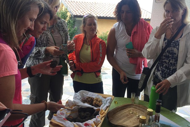 Guided Truffle Hunt Istria - What to Expect